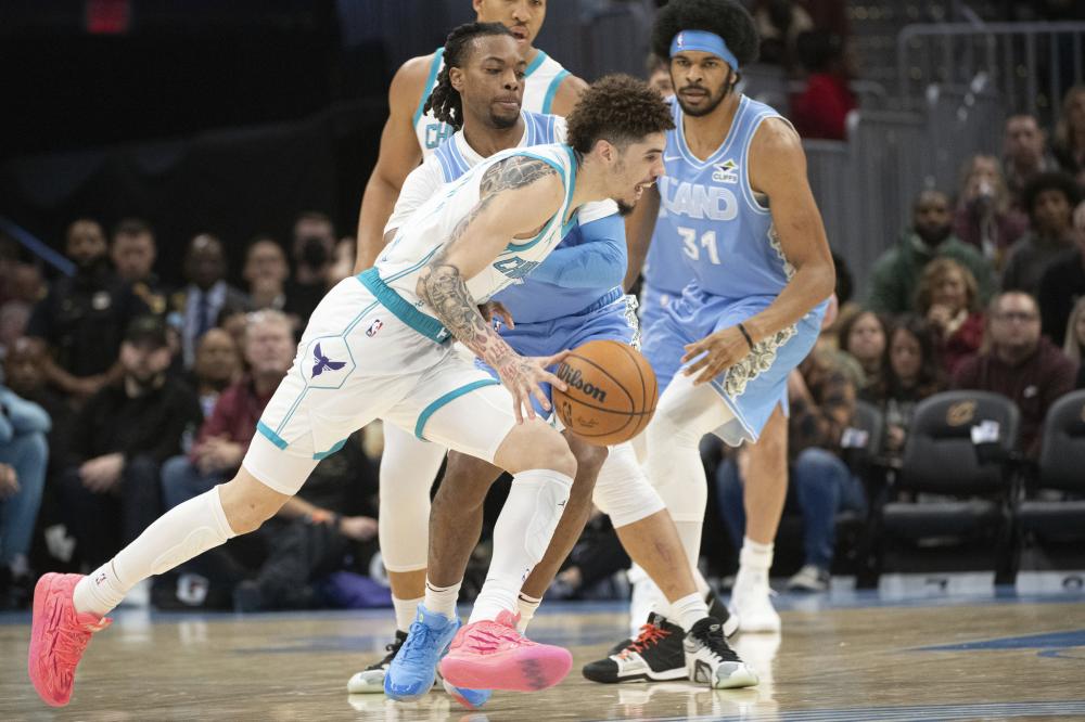 稳步提高肌 稳步提高肌